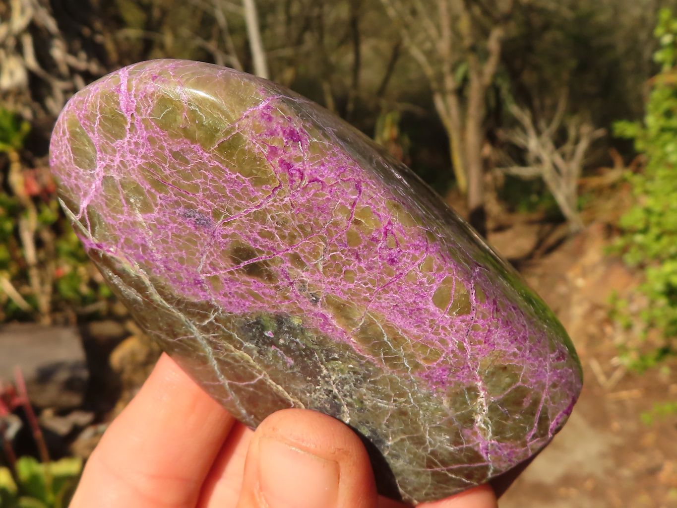 Polished  Purple Stichtite & Serpentine Standing Free Forms x 3 From Barberton, South Africa - Toprock Gemstones and Minerals 