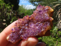Natural Small Dark "Amethystos" Amethyst Clusters  x 35 From Kwaggafontein, South Africa - Toprock Gemstones and Minerals 
