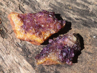 Natural Small Dark "Amethystos" Amethyst Clusters  x 35 From Kwaggafontein, South Africa - Toprock Gemstones and Minerals 