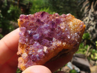 Natural Small Dark "Amethystos" Amethyst Clusters  x 35 From Kwaggafontein, South Africa - Toprock Gemstones and Minerals 