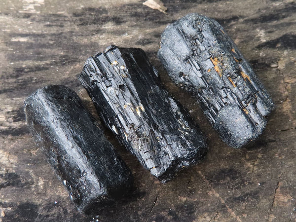 Natural Rough Alluvial Schorl Black Tourmaline Crystals  x 63 From Zambia - TopRock
