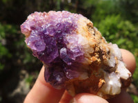 Natural Small Dark "Amethystos" Amethyst Clusters  x 35 From Kwaggafontein, South Africa - Toprock Gemstones and Minerals 