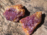 Natural Small Dark "Amethystos" Amethyst Clusters  x 35 From Kwaggafontein, South Africa - Toprock Gemstones and Minerals 