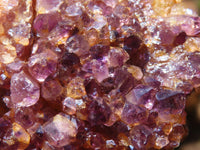 Natural Small Dark "Amethystos" Amethyst Clusters  x 35 From Kwaggafontein, South Africa - Toprock Gemstones and Minerals 
