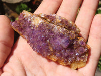 Natural Small Dark "Amethystos" Amethyst Clusters  x 35 From Kwaggafontein, South Africa - Toprock Gemstones and Minerals 