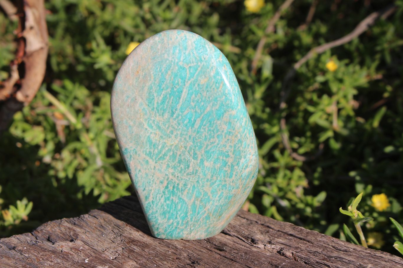 Polished Blue Kobi Amazonite Standing Free Forms x 6 From Zimbabwe - TopRock