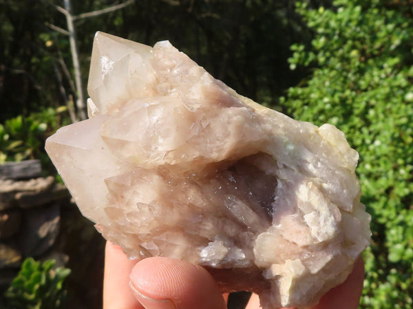 Natural Cascading White Phantom Smokey Quartz Clusters  x 6 From Luena, Congo - Toprock Gemstones and Minerals 