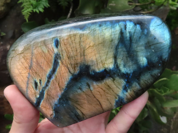 Polished Flashy Labradorite Standing Free Forms  x 2 From Tulear, Madagascar - TopRock