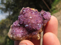 Natural Small Dark "Amethystos" Amethyst Clusters x 35 From Kwaggafontein, South Africa - TopRock