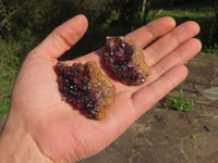 Natural Small Dark "Amethystos" Amethyst Clusters x 35 From Kwaggafontein, South Africa - TopRock