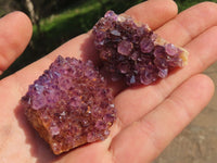 Natural Small Dark "Amethystos" Amethyst Clusters x 35 From Kwaggafontein, South Africa - TopRock