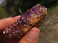 Natural Small Dark "Amethystos" Amethyst Clusters x 35 From Kwaggafontein, South Africa - TopRock