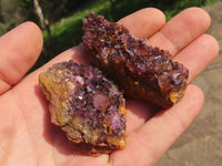 Natural Small Dark "Amethystos" Amethyst Clusters x 35 From Kwaggafontein, South Africa - TopRock