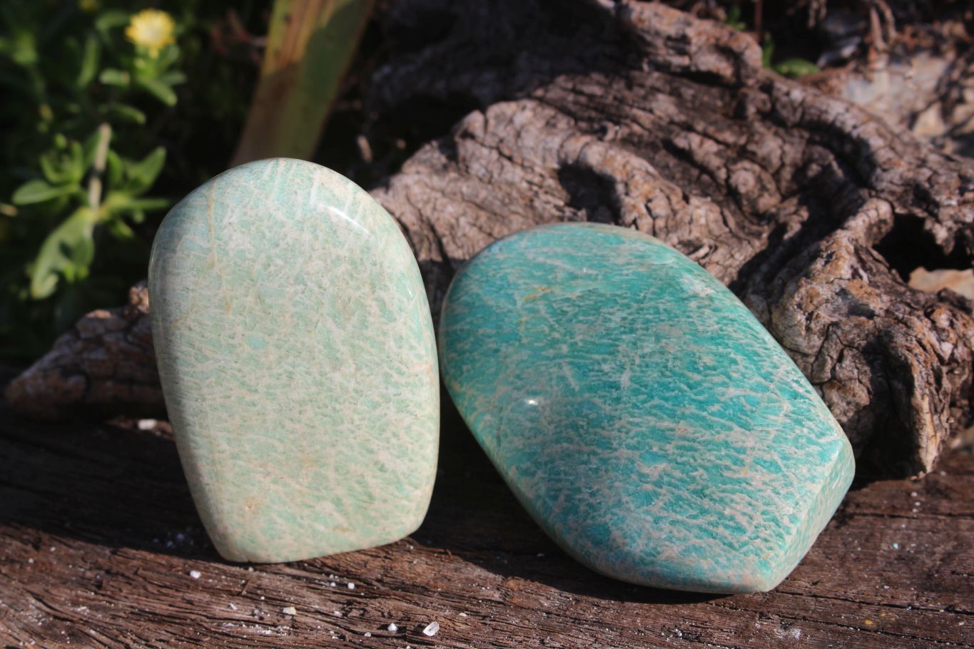 Polished Blue Kobi Amazonite Standing Free Forms x 6 From Zimbabwe - TopRock