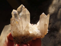 Natural Smokey Quartz Crystal Clusters  x 24 From Madagascar - Toprock Gemstones and Minerals 