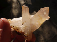 Natural Smokey Quartz Crystal Clusters  x 24 From Madagascar - Toprock Gemstones and Minerals 