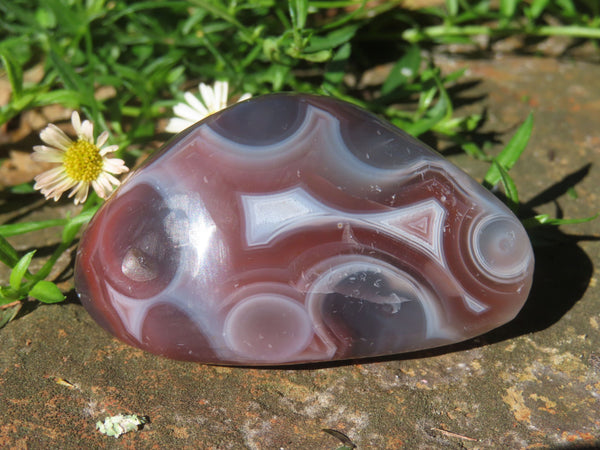 Polished NEW Sashe River Agate Gallets / PalmStone (Natural Colours)  - sold per 1 kg - From Sashe River, Zimbabwe - TopRock