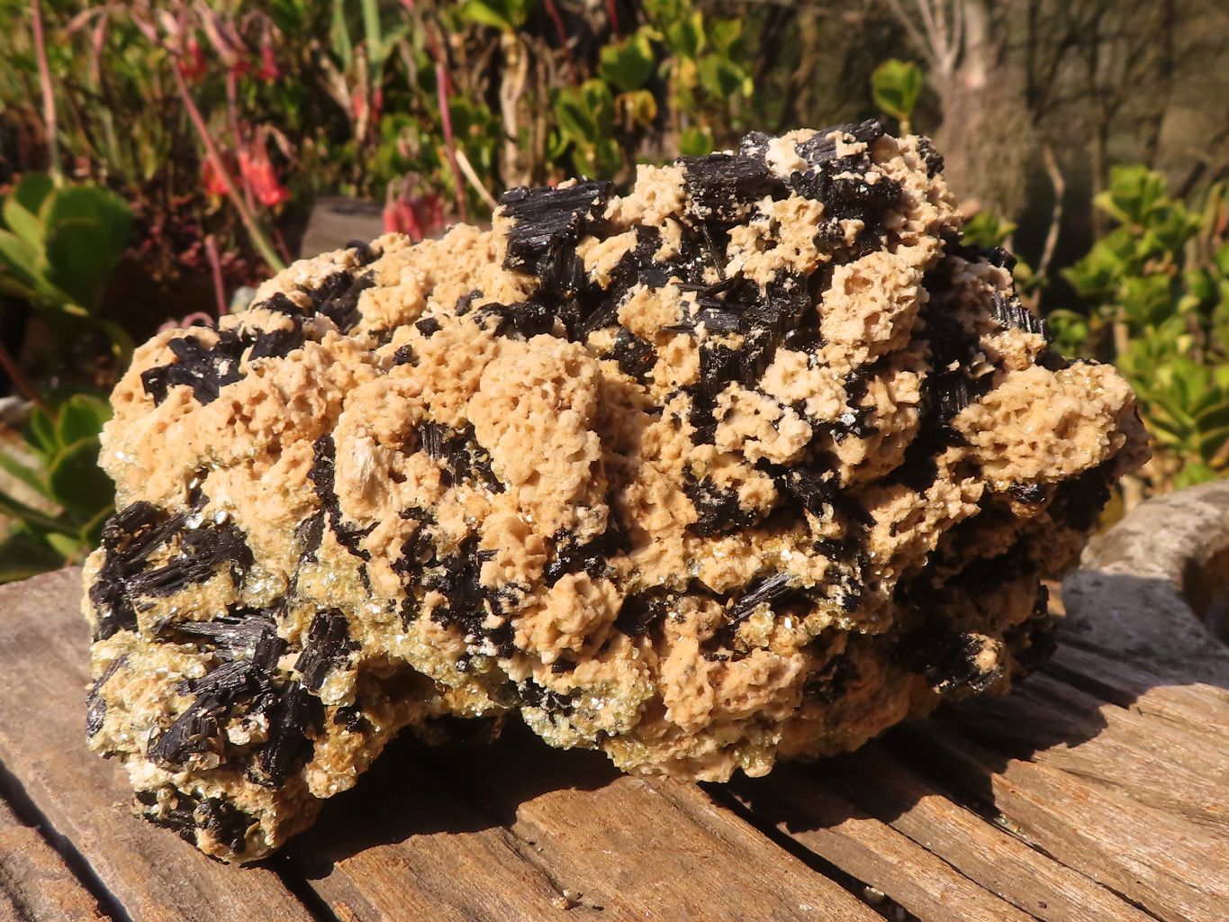 Natural Large Schorl Black Tourmaline Specimen x 1 From Erongo, Namibia - Toprock Gemstones and Minerals 