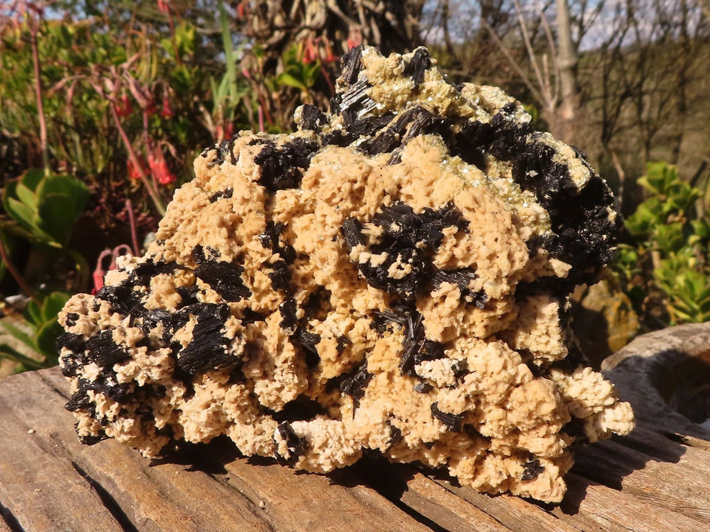 Natural Large Schorl Black Tourmaline Specimen x 1 From Erongo, Namibia - Toprock Gemstones and Minerals 