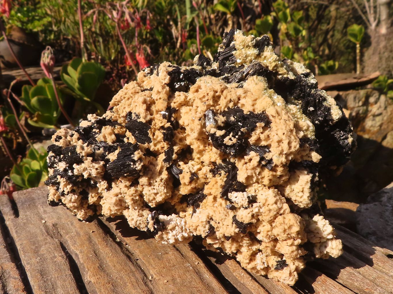Natural Large Schorl Black Tourmaline Specimen x 1 From Erongo, Namibia - Toprock Gemstones and Minerals 
