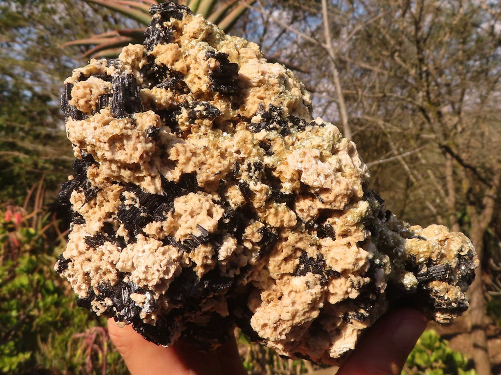 Natural Large Schorl Black Tourmaline Specimen x 1 From Erongo, Namibia - Toprock Gemstones and Minerals 