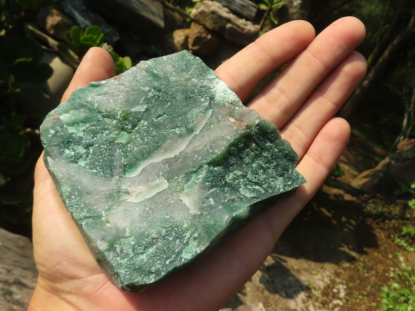 Natural Rough Green Jade Specimens  x 12 From Swaziland - Toprock Gemstones and Minerals 