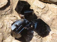Natural Schorl Black Tourmaline Specimens  x 12 From Erongo, Namibia - Toprock Gemstones and Minerals 