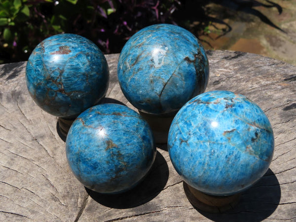 Polished Blue Apatite Spheres with Haematoid Veins  x 4 From Madagascar - TopRock