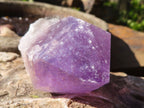 Natural Single Jacaranda Amethyst Crystals  x 12 From Solwezi, Zambia - Toprock Gemstones and Minerals 