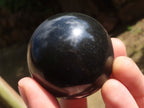 Polished Black Basalt Spheres  x 5 From Madagascar - TopRock