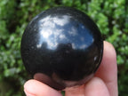 Polished Black Basalt Spheres  x 5 From Madagascar - TopRock