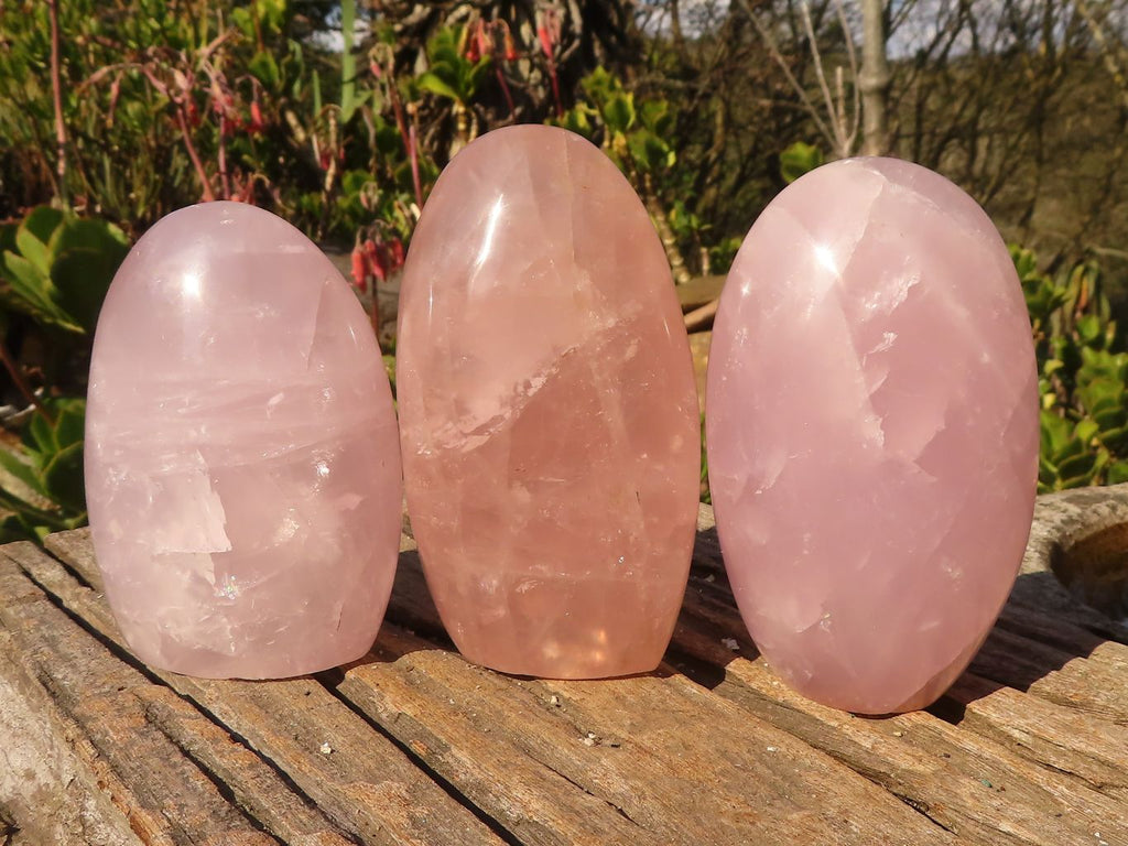 Polished Pink Rose Quartz Standing Free Forms x 3 From Antsirabe, Madagascar - Toprock Gemstones and Minerals 