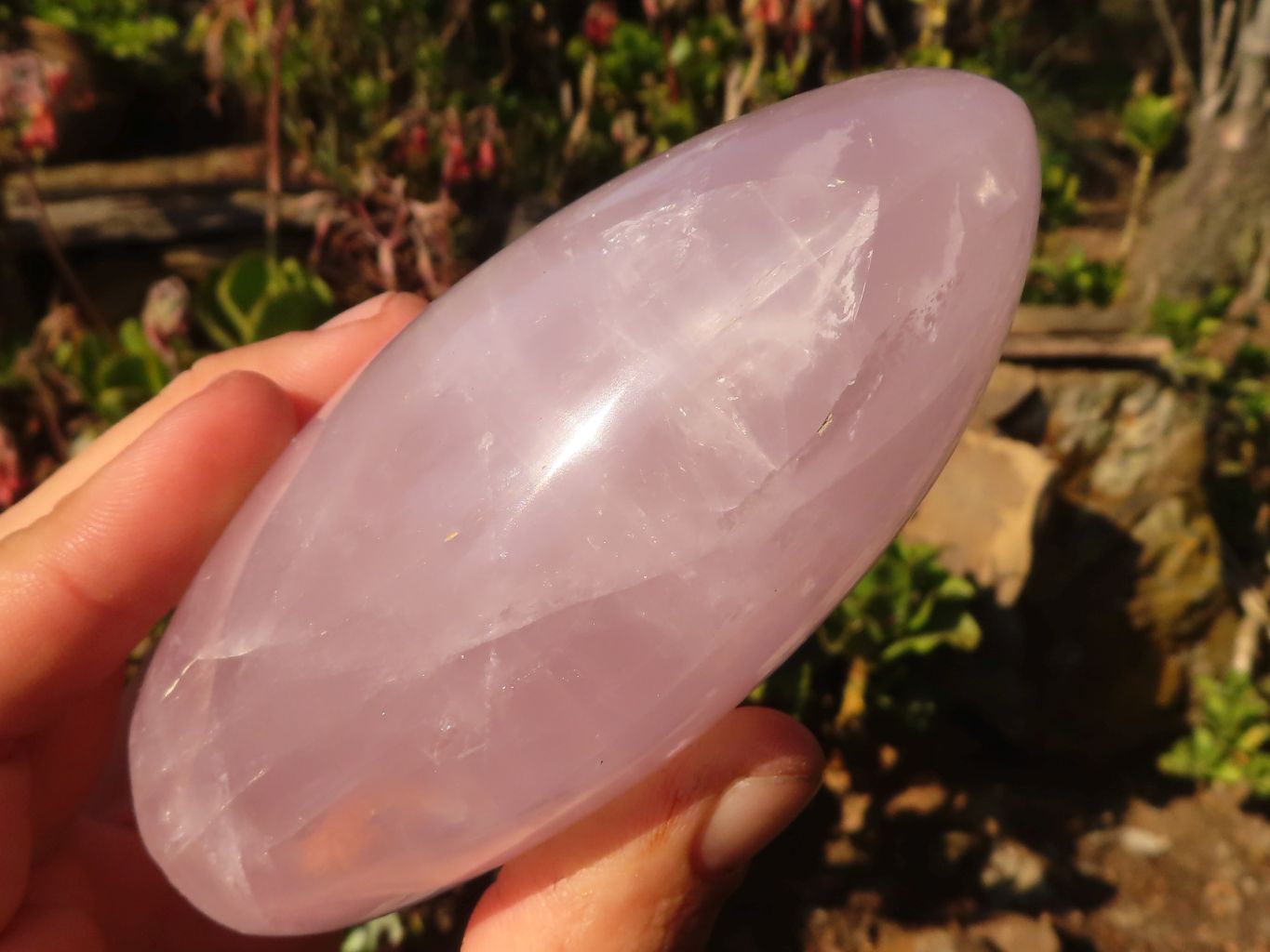 Polished Pink Rose Quartz Standing Free Forms x 3 From Antsirabe, Madagascar - Toprock Gemstones and Minerals 