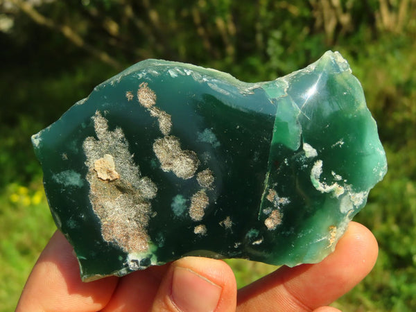Polished Mtorolite Emerald Crysoprase Slices x 12 From Mutorashanga, Zimbabwe - TopRock