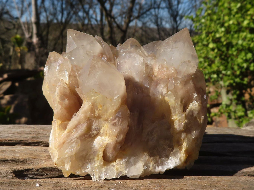 Natural Cascading Smokey Quartz Clusters x 2 From Luena, Congo - Toprock Gemstones and Minerals 