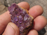 Natural Mini to Small Dark "Amethystos" Amethyst Clusters x 70 From Kwaggafontein, South Africa - TopRock