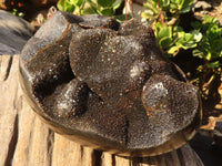 Polished Septerye Sauvage "Dragons" Egg Geode x 1 From Madagascar - Toprock Gemstones and Minerals 