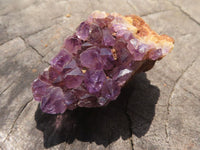 Natural Mini to Small Dark "Amethystos" Amethyst Clusters x 70 From Kwaggafontein, South Africa - TopRock