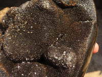 Polished Septerye Sauvage "Dragons" Egg Geode x 1 From Madagascar - Toprock Gemstones and Minerals 