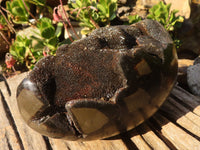 Polished Septerye Sauvage "Dragons" Egg Geode x 1 From Madagascar - Toprock Gemstones and Minerals 