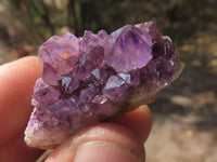 Natural Mini to Small Dark "Amethystos" Amethyst Clusters x 70 From Kwaggafontein, South Africa - TopRock