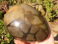 Polished Septerye Sauvage "Dragons" Egg Geode x 1 From Madagascar - Toprock Gemstones and Minerals 