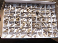 Natural Drusy Quartz Coated Crystals  x 70 From Alberts Mountain, Lesotho - TopRock