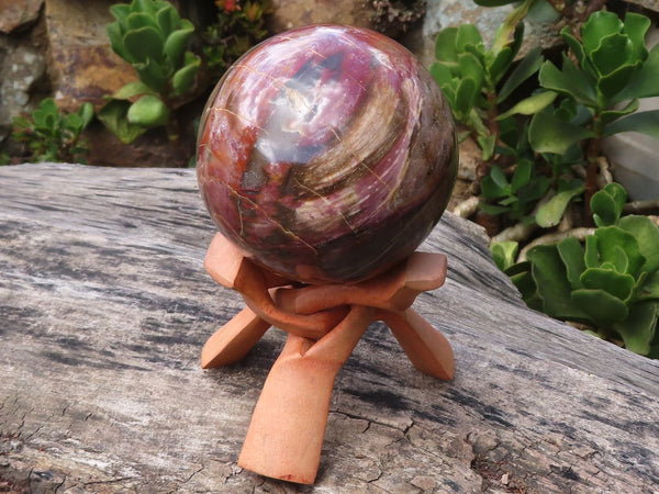 Polished Large Petrified Red Podocarpus Wood Sphere & Custom Stand  x 2 From Madagascar - Toprock Gemstones and Minerals 