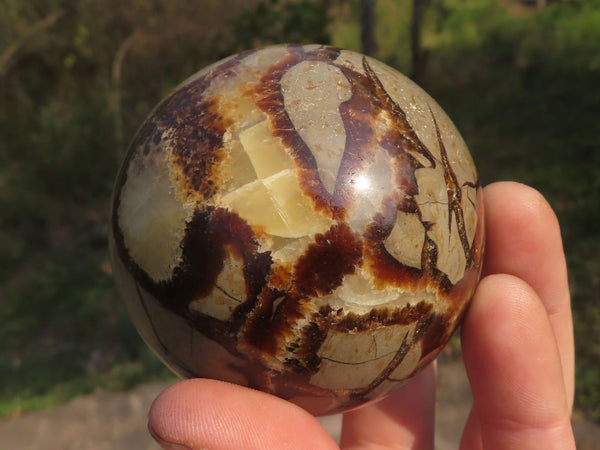 Polished Septerye (Calcite & Aragonite) Spheres  x 4 From Mahajanga, Madagascar - TopRock