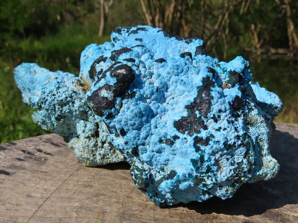 Natural Botryoidal Chrysocolla Specimens x 2 From Kulukuluku, Congo - TopRock