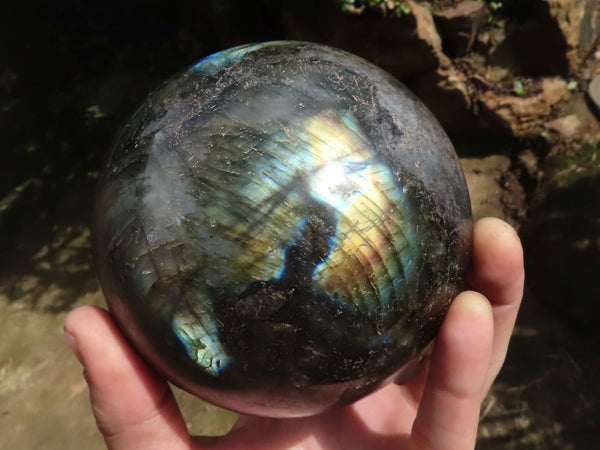 Polished Large Labradorite Sphere  x 1 From Tulear, Madagascar - TopRock