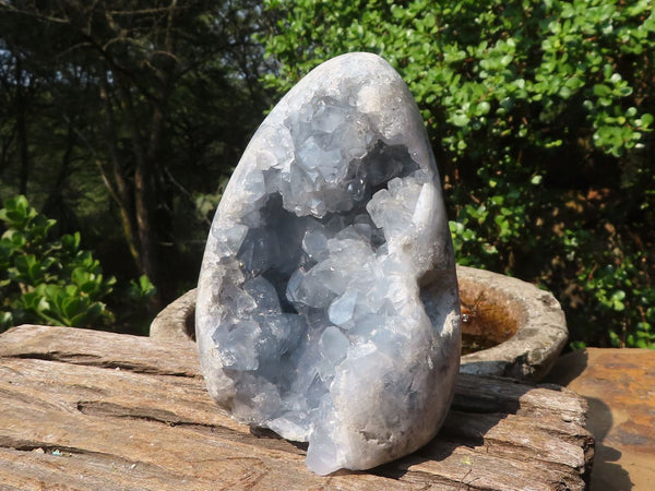 Polished Blue Crystal Centred Celestite Standing Free Form  x 1 From Sakoany, Madagascar - Toprock Gemstones and Minerals 