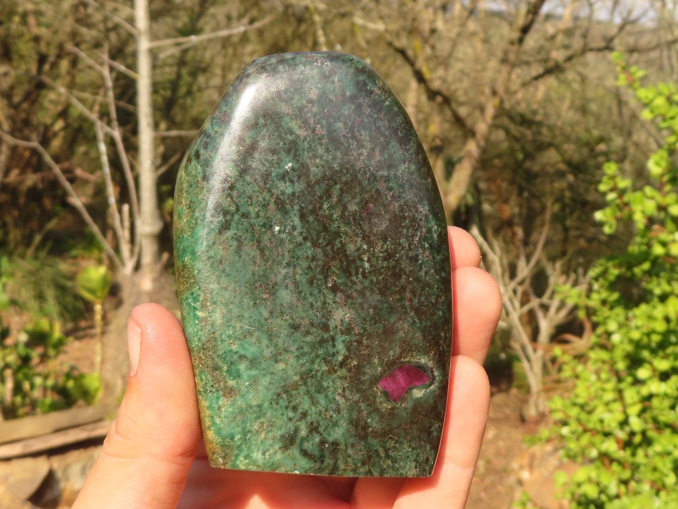 Polished  Fluorescent Ruby Corundum In Chrome Verdite Free Forms x 5 From Zimbabwe - Toprock Gemstones and Minerals 
