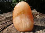 Polished Orange Twist Calcite Standing Free Form  x 1 From Madagascar - TopRock